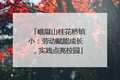 峨眉山桂花桥镇小：劳动赋能成长，实践点亮校园