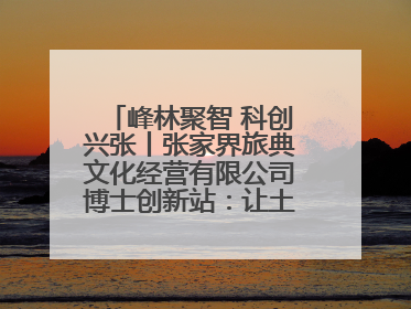 峰林聚智 科创兴张丨张家界旅典文化经营有限公司博士创新站：让土家织锦“智”造出非遗新传奇