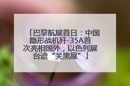 巴黎航展首日：中国隐形战机歼-35A首次亮相国外，以色列展台遭“关黑屋”