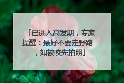 已进入高发期，专家提醒：最好不要走野路，如被咬先拍照