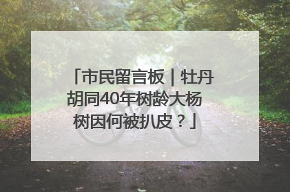 市民留言板｜牡丹胡同40年树龄大杨树因何被扒皮？