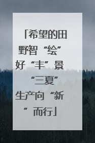 希望的田野智“绘”好“丰”景 “三夏”生产向“新”而行