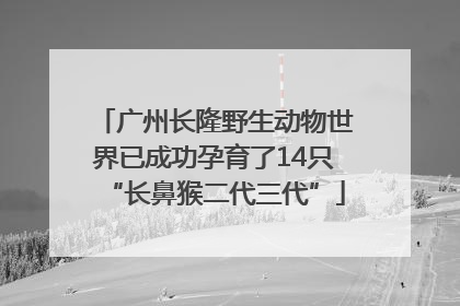 广州长隆野生动物世界已成功孕育了14只“长鼻猴二代三代”