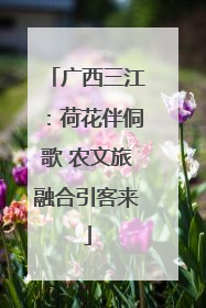 广西三江：荷花伴侗歌 农文旅融合引客来