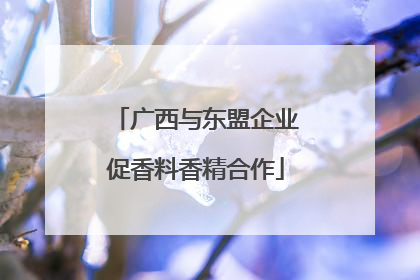 广西与东盟企业促香料香精合作