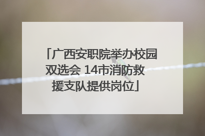 广西安职院举办校园双选会 14市消防救援支队提供岗位