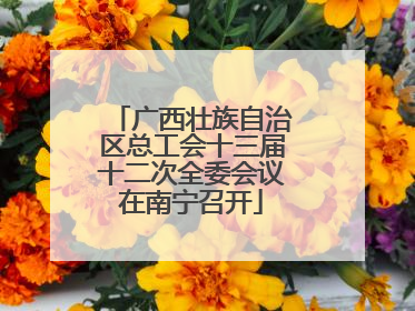 广西壮族自治区总工会十三届十二次全委会议在南宁召开