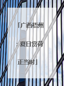 广西梧州：夏日赏荷正当时