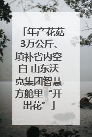 年产花菇3万公斤、填补省内空白 山东沃克集团智慧方舱里“开出花”