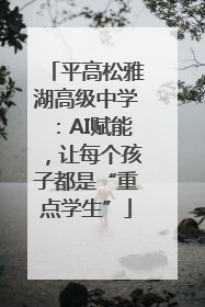 平高松雅湖高级中学：AI赋能，让每个孩子都是“重点学生”