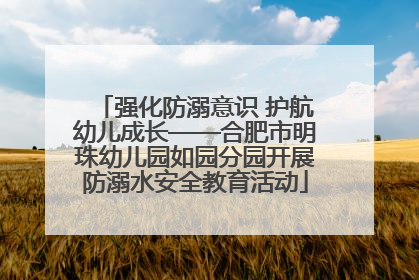 强化防溺意识 护航幼儿成长——合肥市明珠幼儿园如园分园开展防溺水安全教育活动