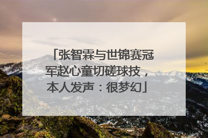 张智霖与世锦赛冠军赵心童切磋球技，本人发声：很梦幻