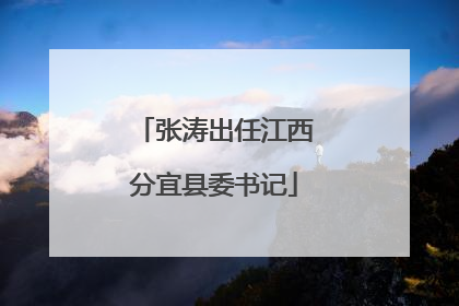 张涛出任江西分宜县委书记
