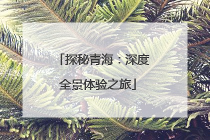 探秘青海：深度全景体验之旅