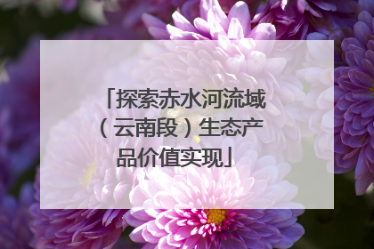 探索赤水河流域（云南段）生态产品价值实现