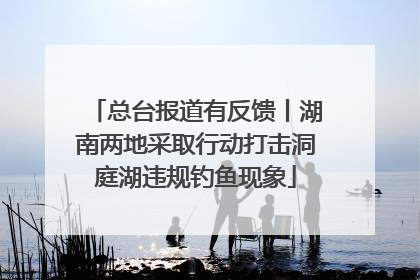 总台报道有反馈丨湖南两地采取行动打击洞庭湖违规钓鱼现象