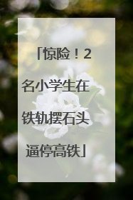 惊险！2名小学生在铁轨摆石头逼停高铁