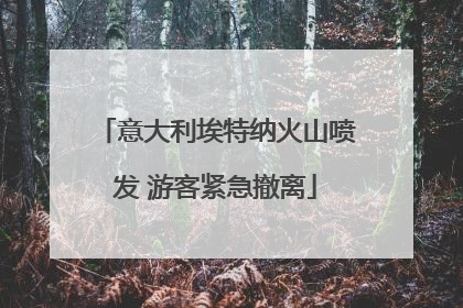 意大利埃特纳火山喷发 游客紧急撤离