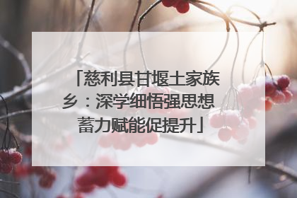 慈利县甘堰土家族乡：深学细悟强思想 蓄力赋能促提升
