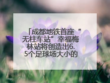成都地铁首座“无柱车站”幸福梅林站将创造出6.5个足球场大小的通透空间