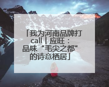 我为河南品牌打call丨应旺：品味“毛尖之都”的诗意栖居