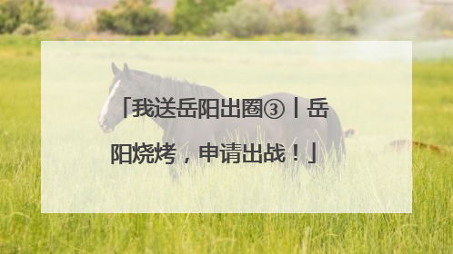 我送岳阳出圈③丨岳阳烧烤，申请出战！