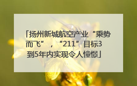 扬州新城航空产业“乘势而飞”，“211”目标3到5年内实现令人憧憬