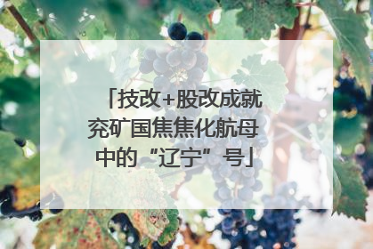 技改+股改成就兖矿国焦焦化航母中的“辽宁”号