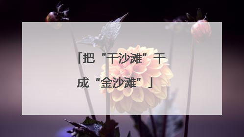 把“干沙滩”干成“金沙滩”