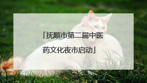 抚顺市第二届中医药文化夜市启动