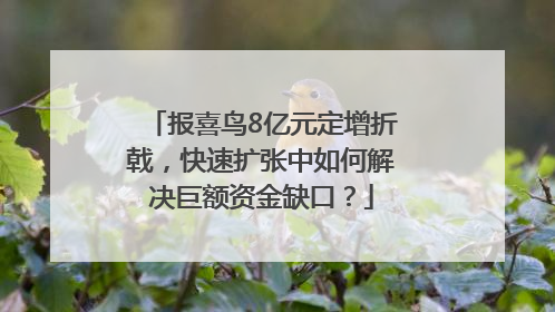 报喜鸟8亿元定增折戟，快速扩张中如何解决巨额资金缺口？