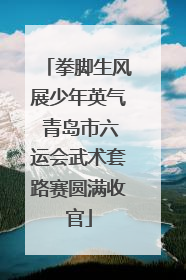 拳脚生风展少年英气 青岛市六运会武术套路赛圆满收官