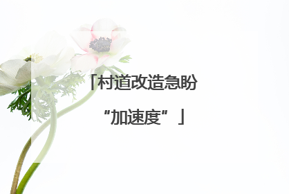 村道改造急盼“加速度”