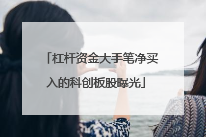 杠杆资金大手笔净买入的科创板股曝光