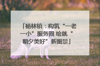 杨林镇：构筑“一老一小”服务圈 绘就“朝夕美好”新图景