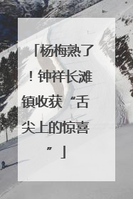 杨梅熟了！钟祥长滩镇收获“舌尖上的惊喜”