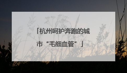 杭州呵护奔跑的城市“毛细血管”