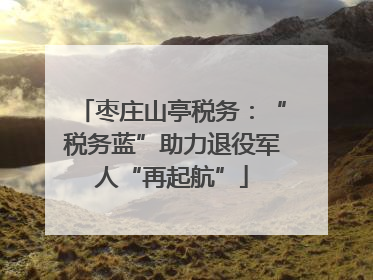 枣庄山亭税务：“税务蓝”助力退役军人“再起航”