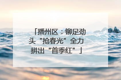 播州区：铆足劲头“抢春光”全力拼出“首季红”
