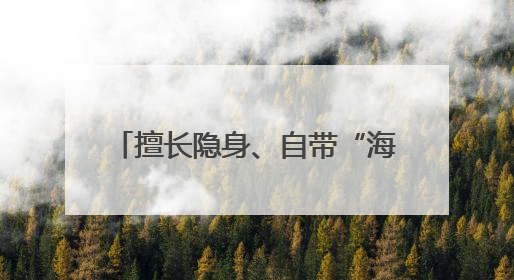擅长隐身、自带“海狸尾” 彩虹-7无人机究竟有多牛？