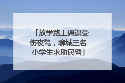 放学路上偶遇受伤夜鹭，聊城三名小学生求助民警