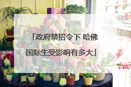 政府禁招令下 哈佛国际生受影响有多大
