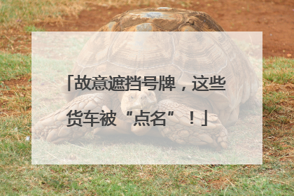 故意遮挡号牌，这些货车被“点名”！
