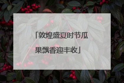 敦煌盛夏时节瓜果飘香迎丰收