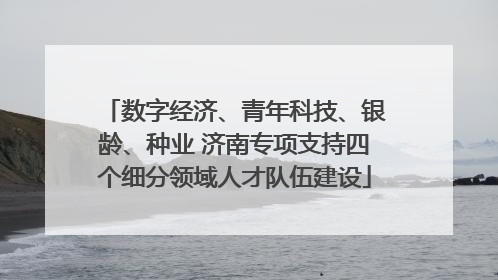 数字经济、青年科技、银龄、种业 济南专项支持四个细分领域人才队伍建设