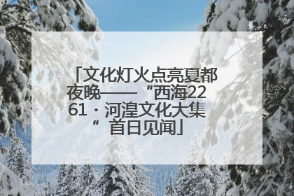 文化灯火点亮夏都夜晚——“西海2261・河湟文化大集”首日见闻