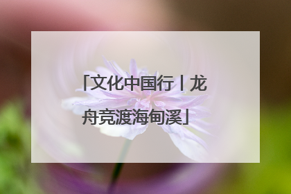 文化中国行丨龙舟竞渡海甸溪
