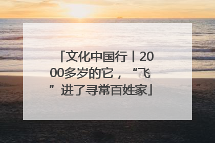 文化中国行丨2000多岁的它，“飞”进了寻常百姓家