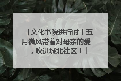 文化书院进行时丨五月微风带着对母亲的爱，吹进城北社区！
