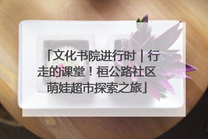 文化书院进行时｜行走的课堂！桓公路社区萌娃超市探索之旅